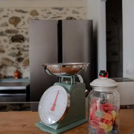 Casa vacanze Grande Grange 12 Personnes, Bain Nordique&vue Pyrénées *